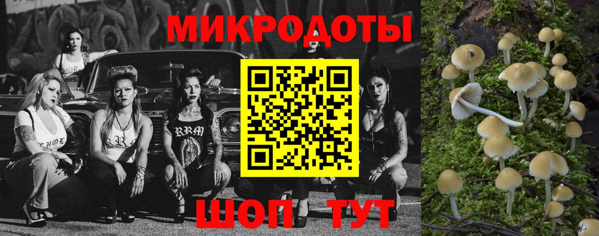 Маркс  Галлюциногенные грибы мицелий  Вход с VPN  Галлюциногенные грибы прущие грибы 